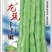 慕兰多十寸嫩豆角种子四季豆种子白肉豆种子菜农种植户大田