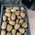 绿心猕猴桃，湖南湘西猕猴桃，产区直发，70起步