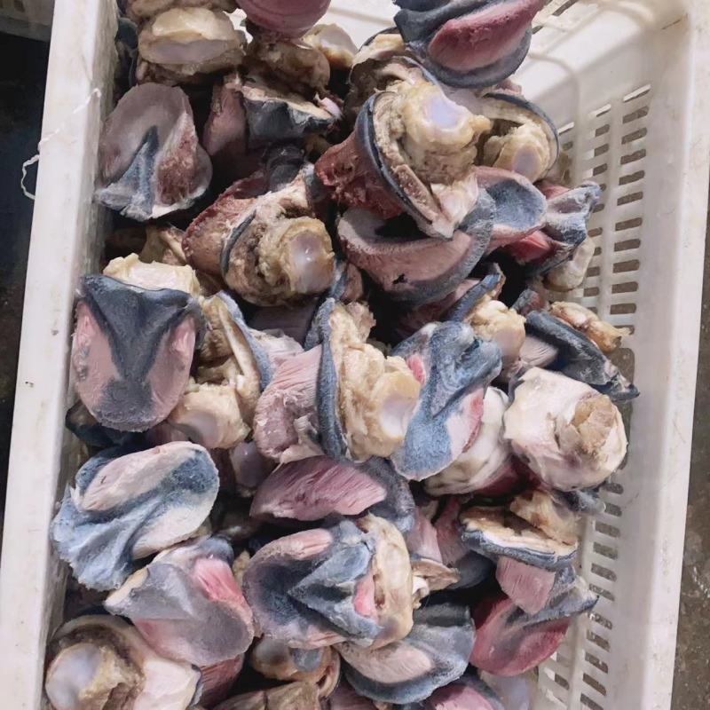 驴蹄子零售厂家直发品质保证欢迎进店选购