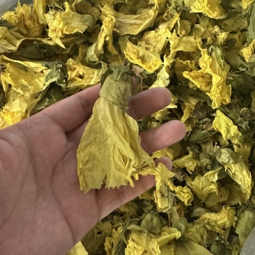 黄蜀葵花