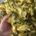黄蜀葵花