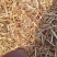 优质的小麦秸秆草料量大从优，基地直供货真价实