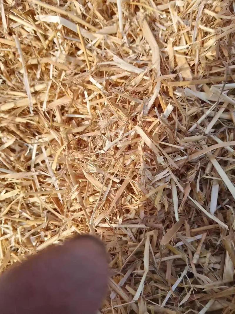 优质的小麦秸秆草料量大从优，基地直供货真价实