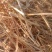 优质的小麦秸秆草料量大从优，基地直供货真价实