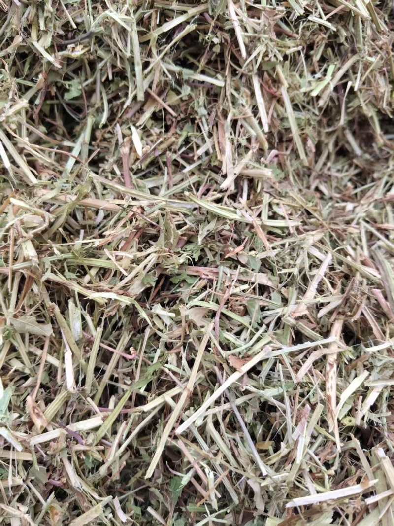 【优质花生秧】坐标南阳方城县量大质优价格可谈可咨询