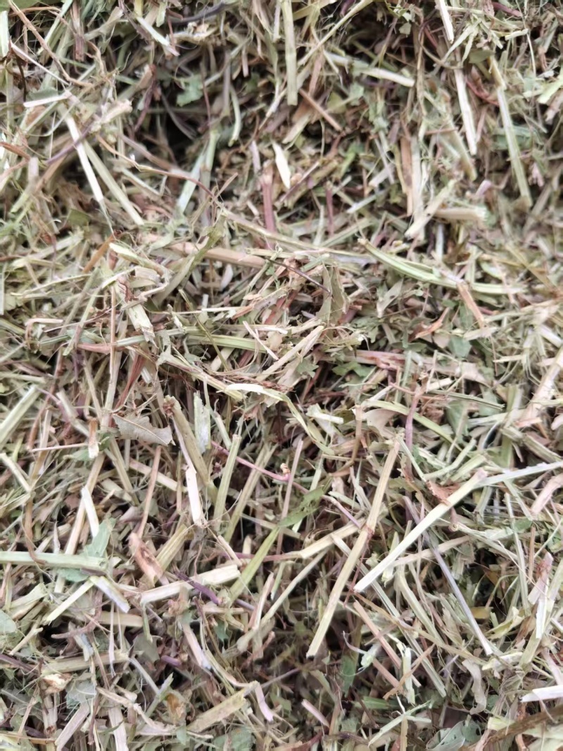【优质花生秧】坐标南阳方城县量大质优价格可谈可咨询