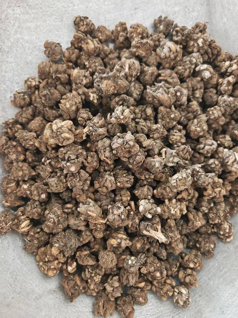 猫爪草水洗干货选装规格欢迎选购