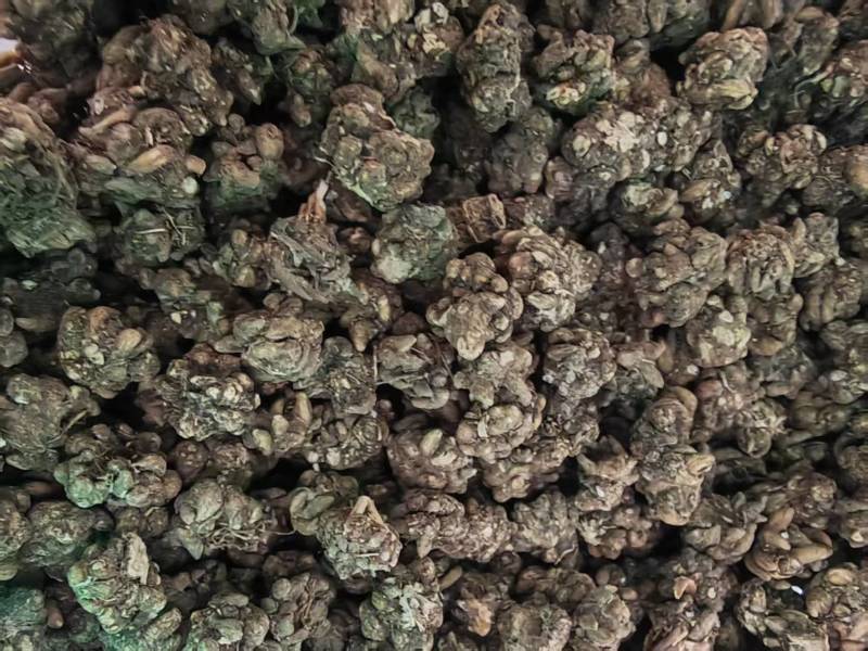 猫爪草水洗干货选装规格欢迎选购