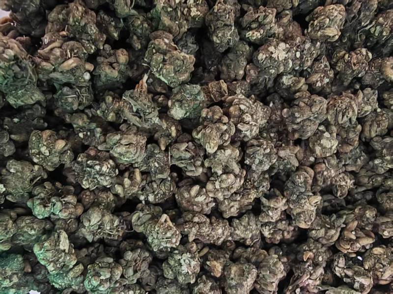 猫爪草水洗干货选装规格欢迎选购