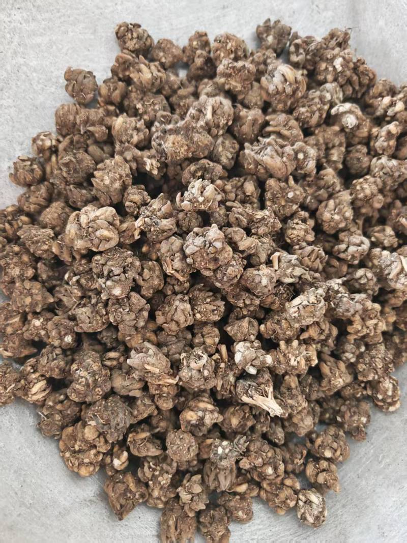 猫爪草水洗干货选装规格欢迎选购