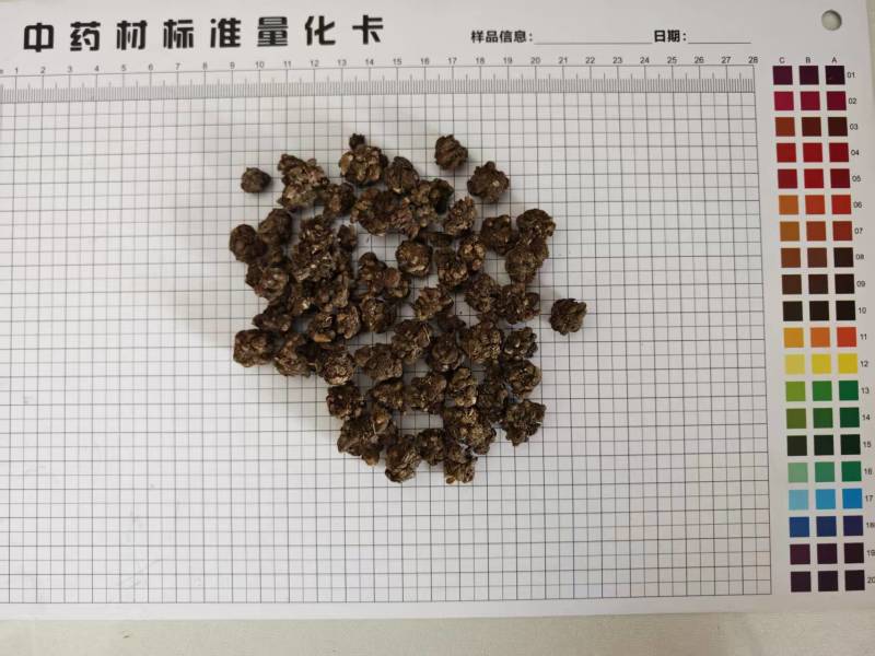 猫爪草水洗干货选装规格欢迎选购
