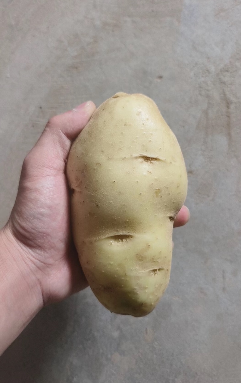 土豆