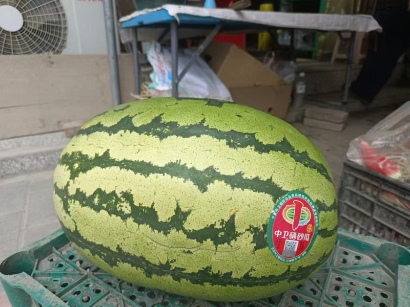宁夏硒砂瓜大量供应，一手货源，量大从优对接全国