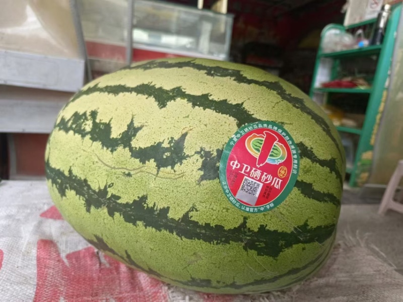 宁夏硒砂瓜大量供应，一手货源，量大从优对接全国