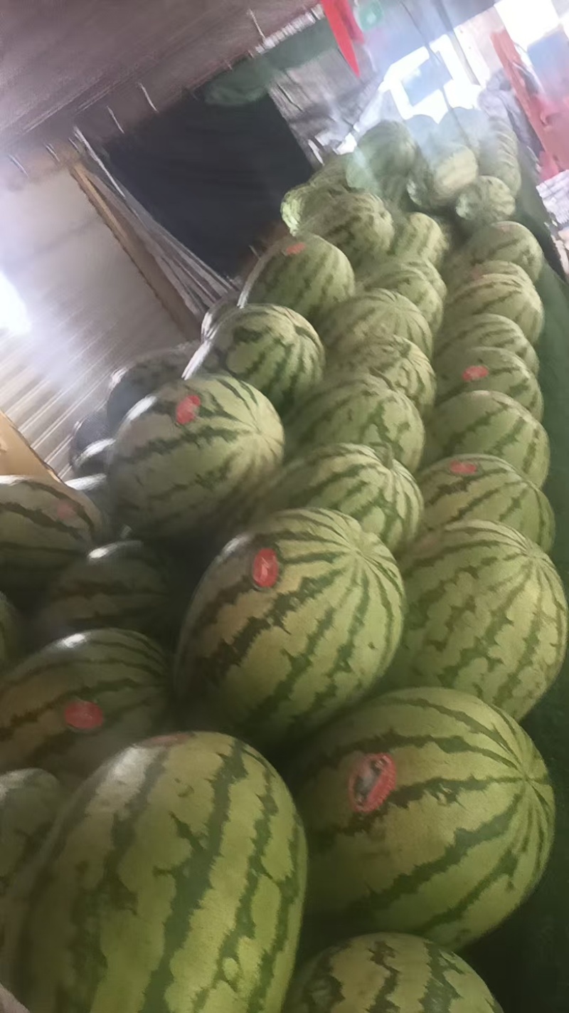 宁夏硒砂瓜大量供应，一手货源，量大从优对接全国