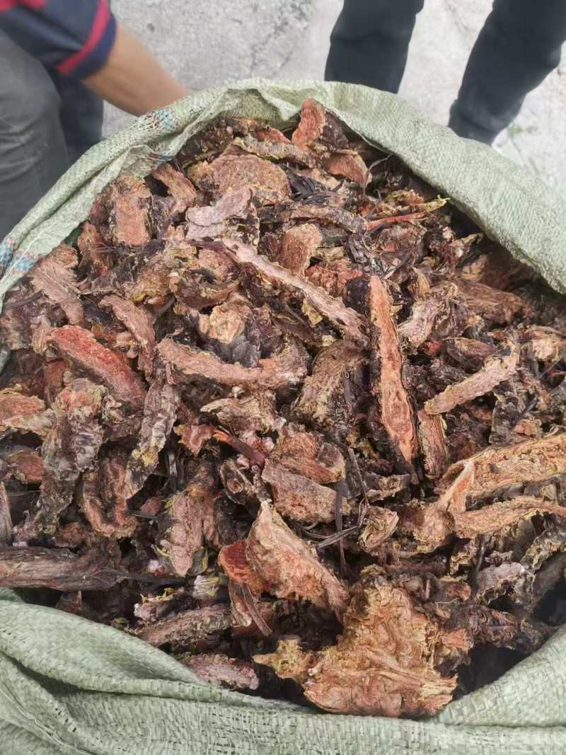 大量出售大花红景天鲜货精品乱片支持视频看货