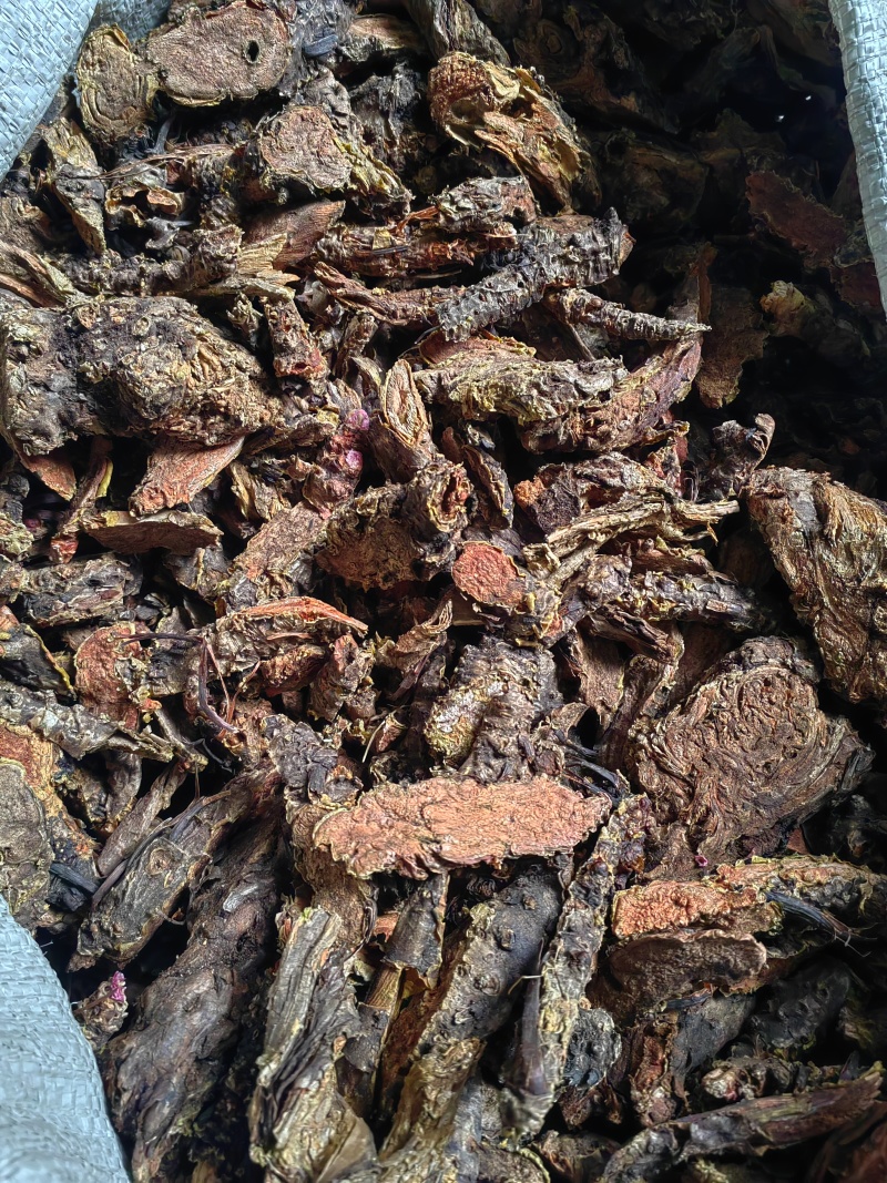 大量出售大花红景天鲜货精品乱片支持视频看货