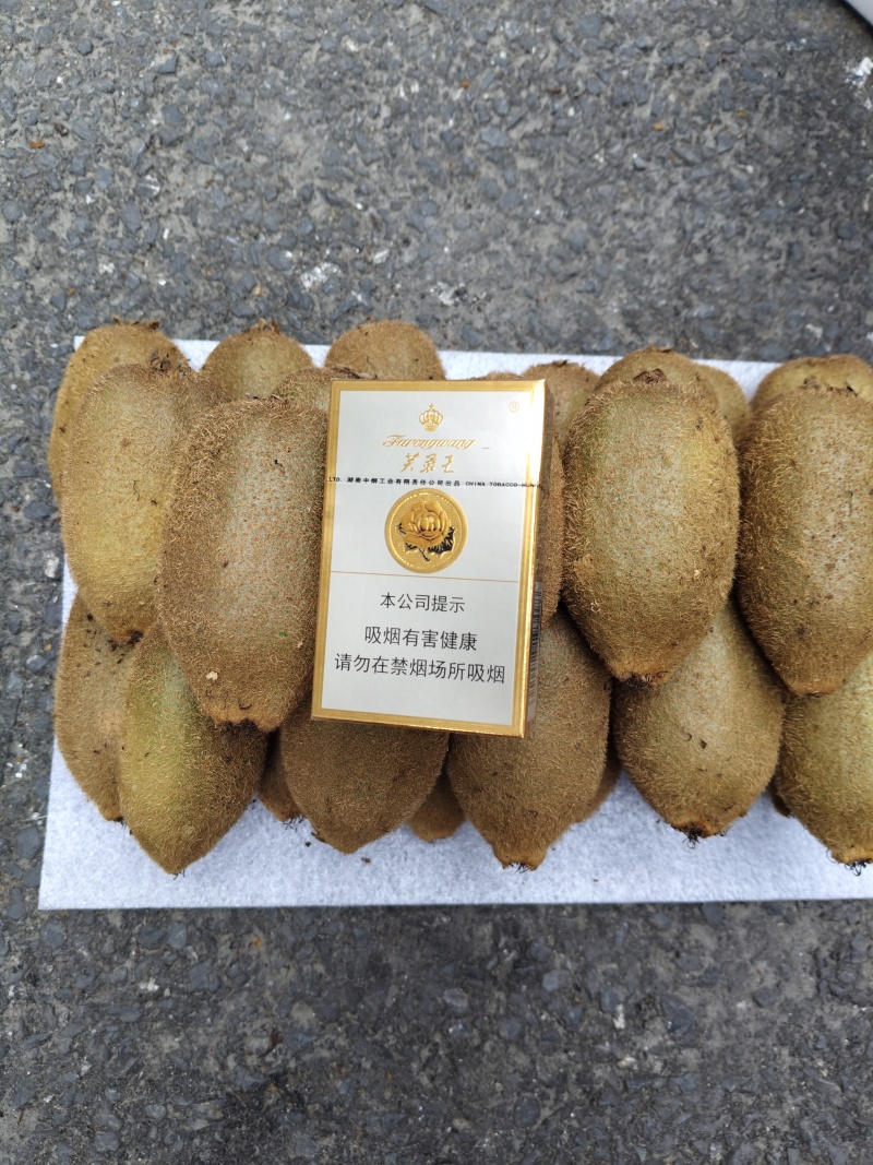 米良一号