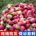 东北海棠果新鲜现摘k9海棠果当季酸甜可口