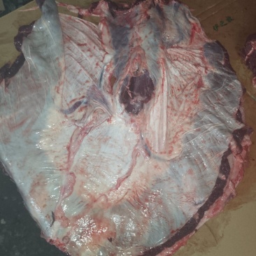 护心肉