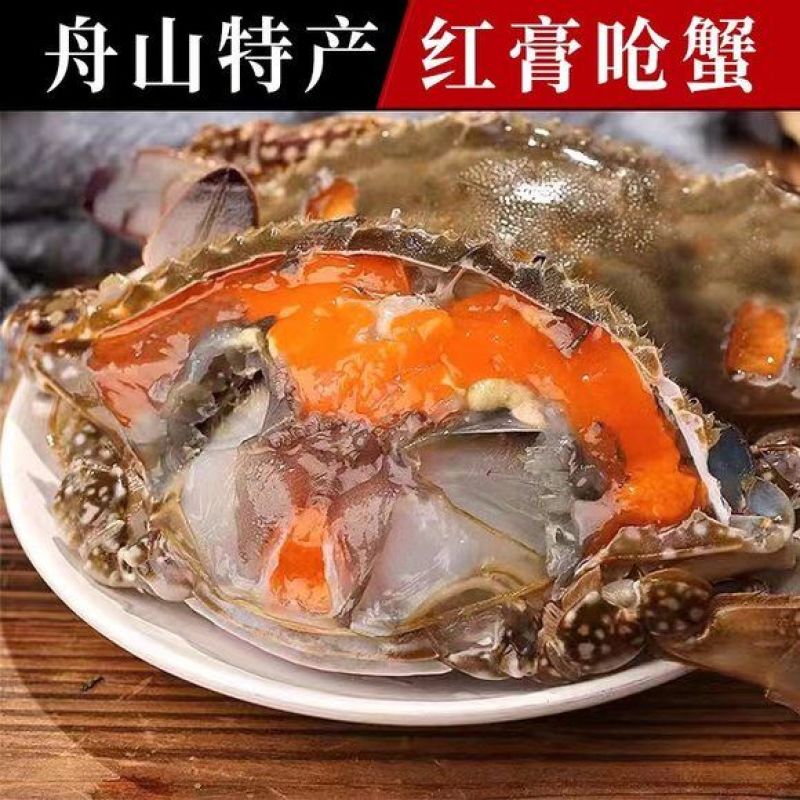 舟山红膏炝蟹即食梭子蟹鲜活新鲜腌制宁波咸蟹红膏呛蟹舟山特