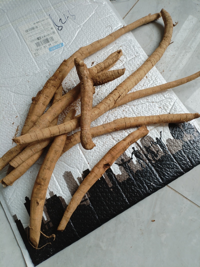 广西仿野生现挖牛大力