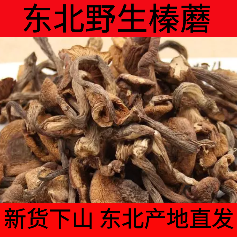东北野生榛蘑干货小鸡炖蘑菇批发长白山土特产真蘑无根净重新货