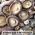 【净重】香菇干货冬菇黄焖鸡饭肠粉学校批发5斤散装小个香菇新鲜