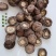 【净重】香菇干货冬菇黄焖鸡饭肠粉学校批发5斤散装小个香菇新鲜