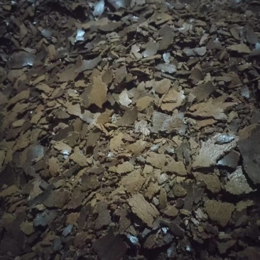 没有灌水的油枯