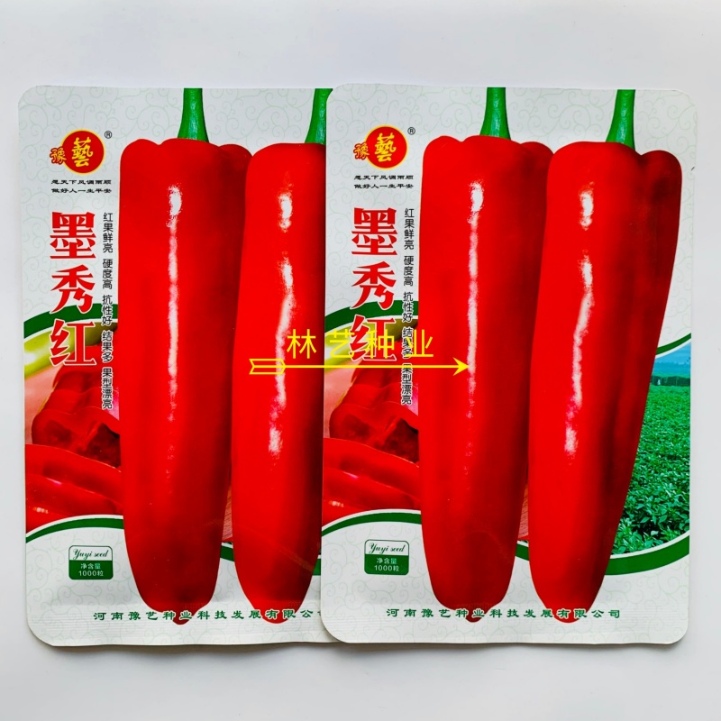 豫艺墨秀红(光椒)红果专用牛角椒中早熟品种抗病耐贮运好
