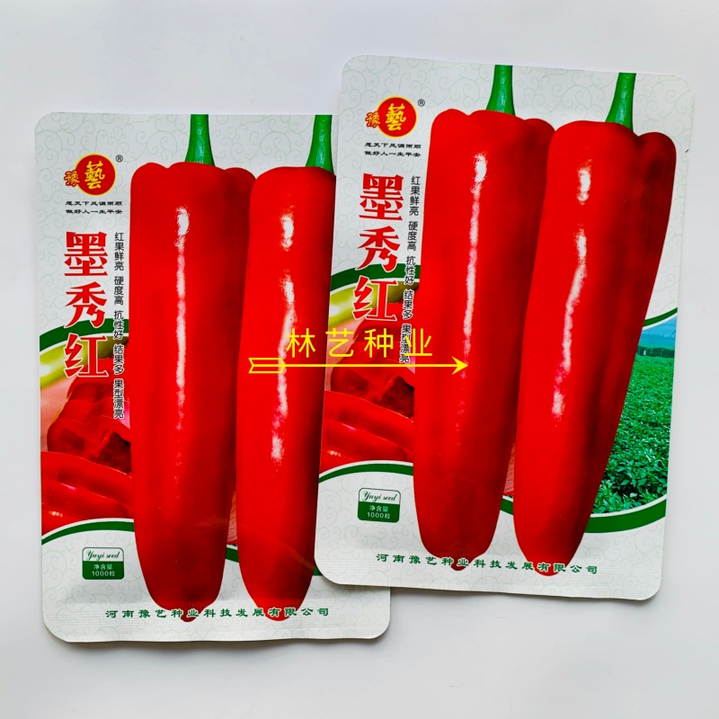 豫艺墨秀红(光椒)红果专用牛角椒中早熟品种抗病耐贮运好