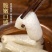 特级竹荪纯杆无裙竹笙250g新鲜无硫竹孙菌菇类农家土特产