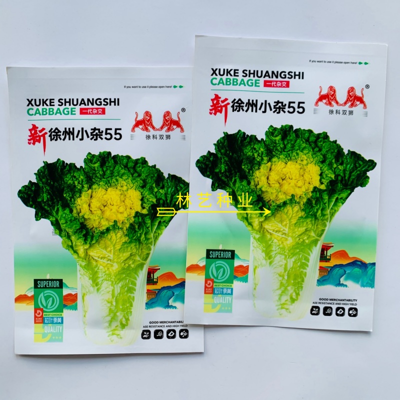 新徐州小杂55黄心大白菜种子鸡蛋黄白菜阳台庭院
