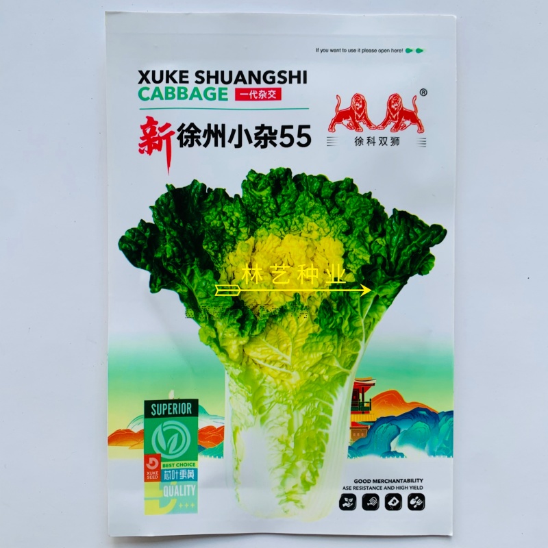 新徐州小杂55黄心大白菜种子鸡蛋黄白菜阳台庭院