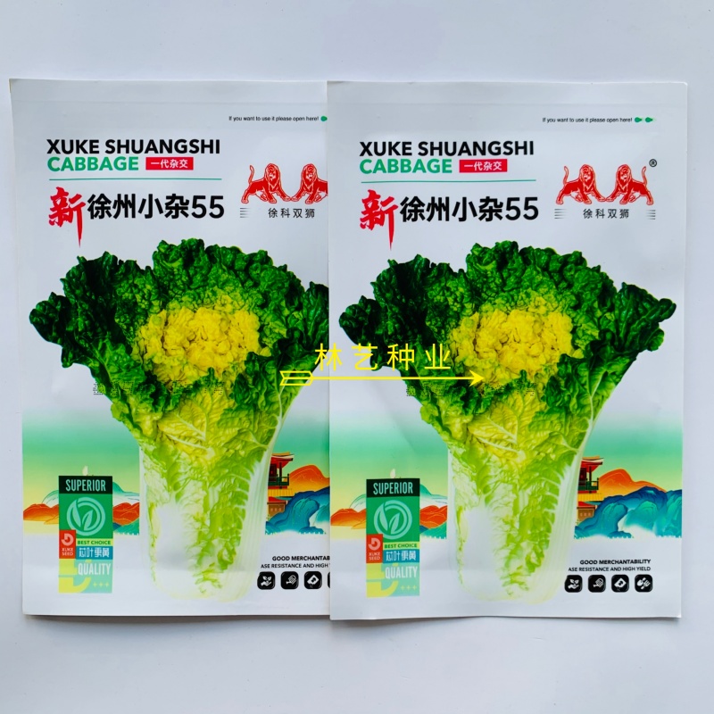 新徐州小杂55黄心大白菜种子鸡蛋黄白菜阳台庭院