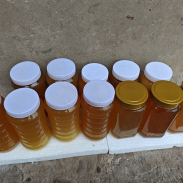 农村自家中蜂蜂蜜，包检测，数量不多假一赔十