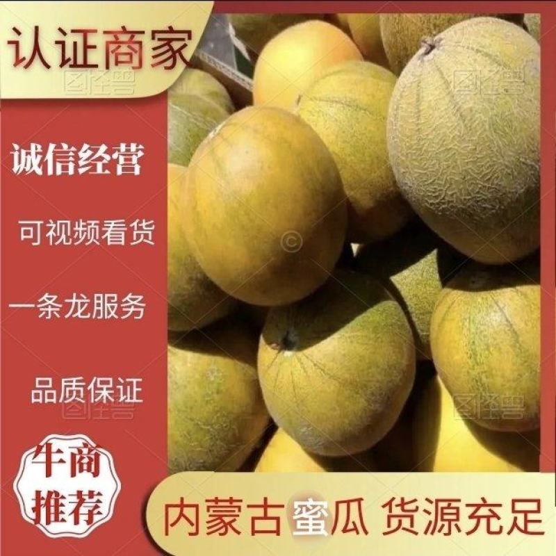 蜜瓜巴彦淖尔产地直供大量上市甜度高品质好价格低