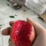 红心李正宗芙蓉李现摘红肉李子三华李