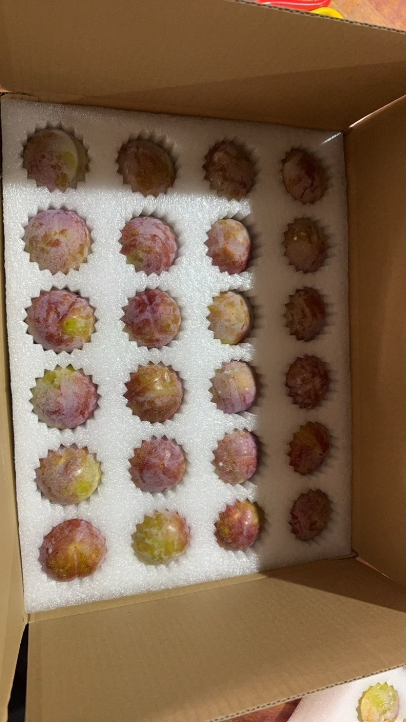 红心李正宗芙蓉李现摘红肉李子三华李