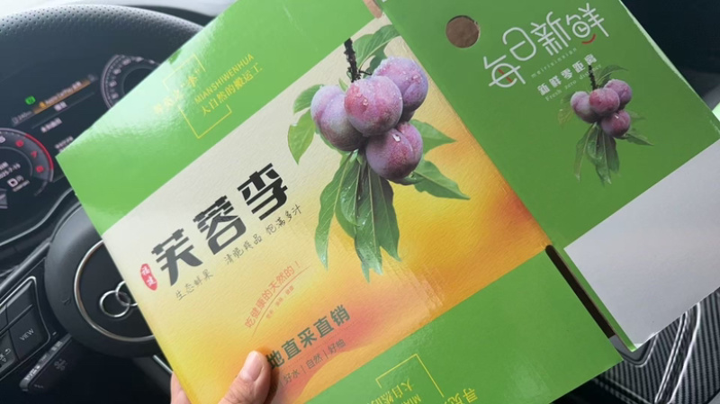 红心李正宗芙蓉李现摘红肉李子三华李