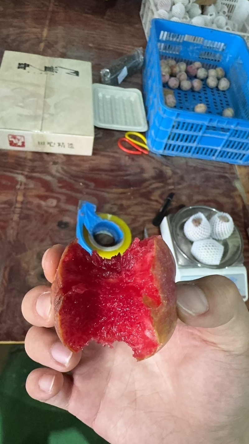 红心李正宗芙蓉李现摘红肉李子三华李