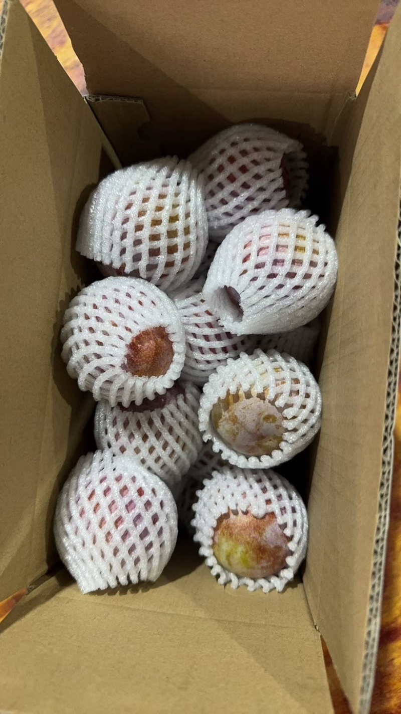 红心李正宗芙蓉李现摘红肉李子三华李