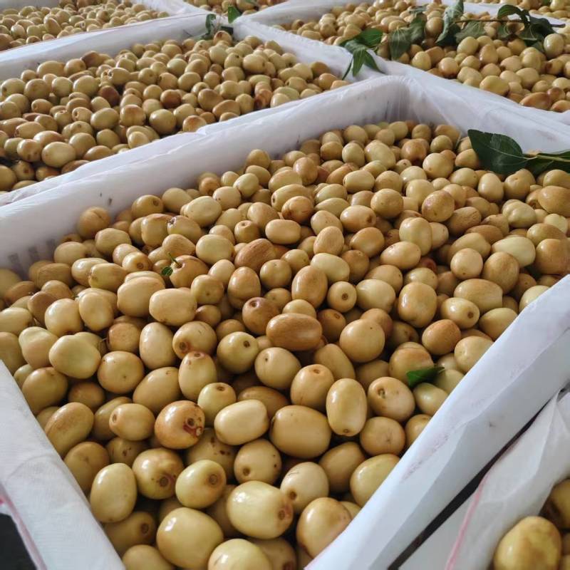 米枣大量上市，需要的请联系