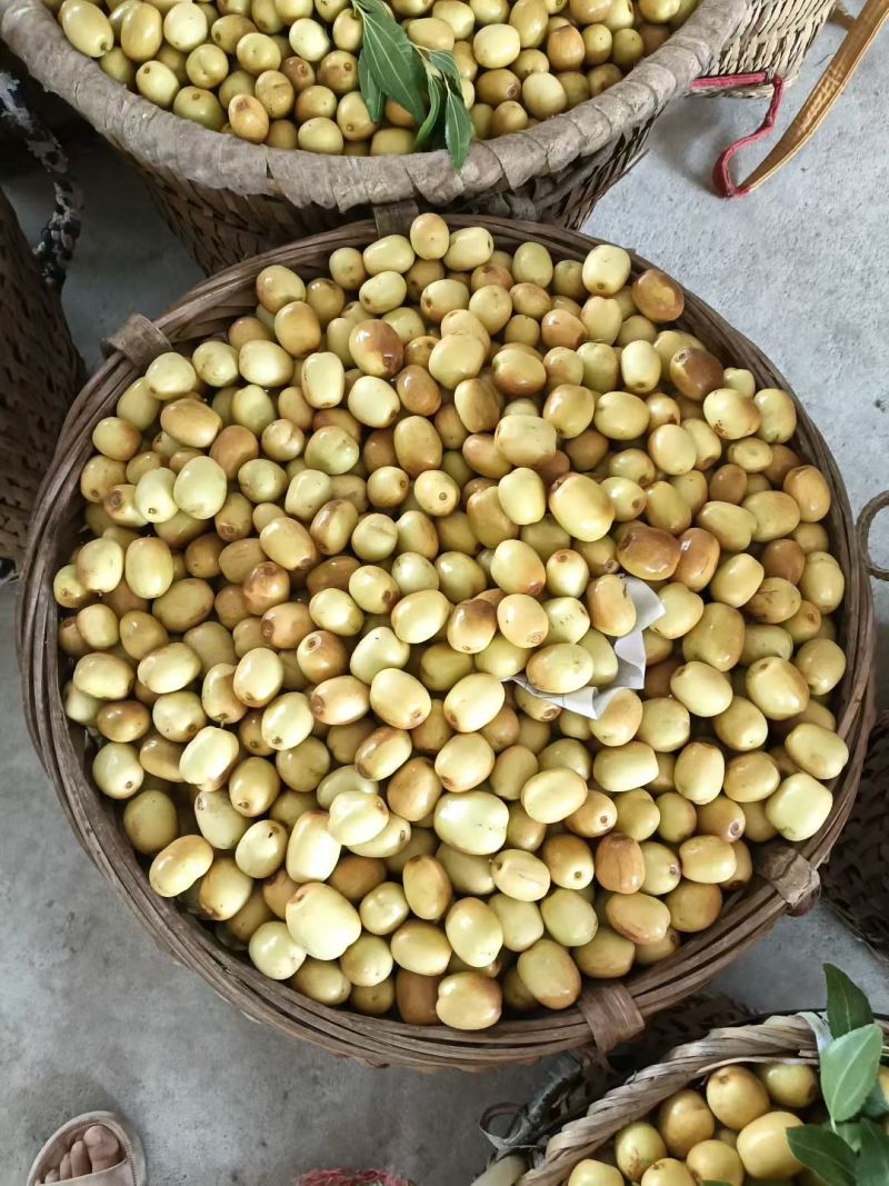 米枣大量上市，需要的请联系