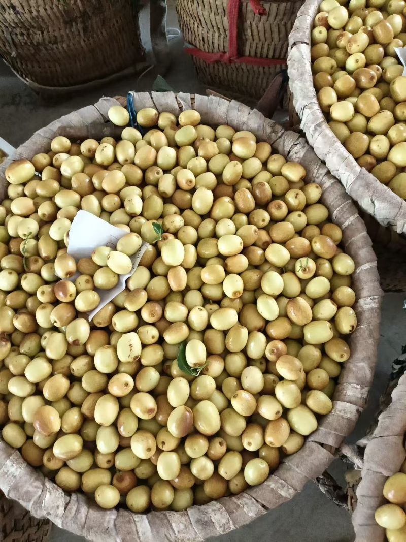米枣大量上市，需要的请联系
