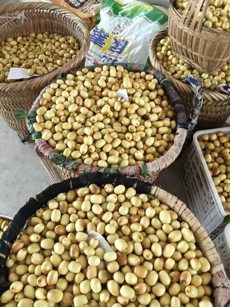 米枣大量上市，需要的请联系