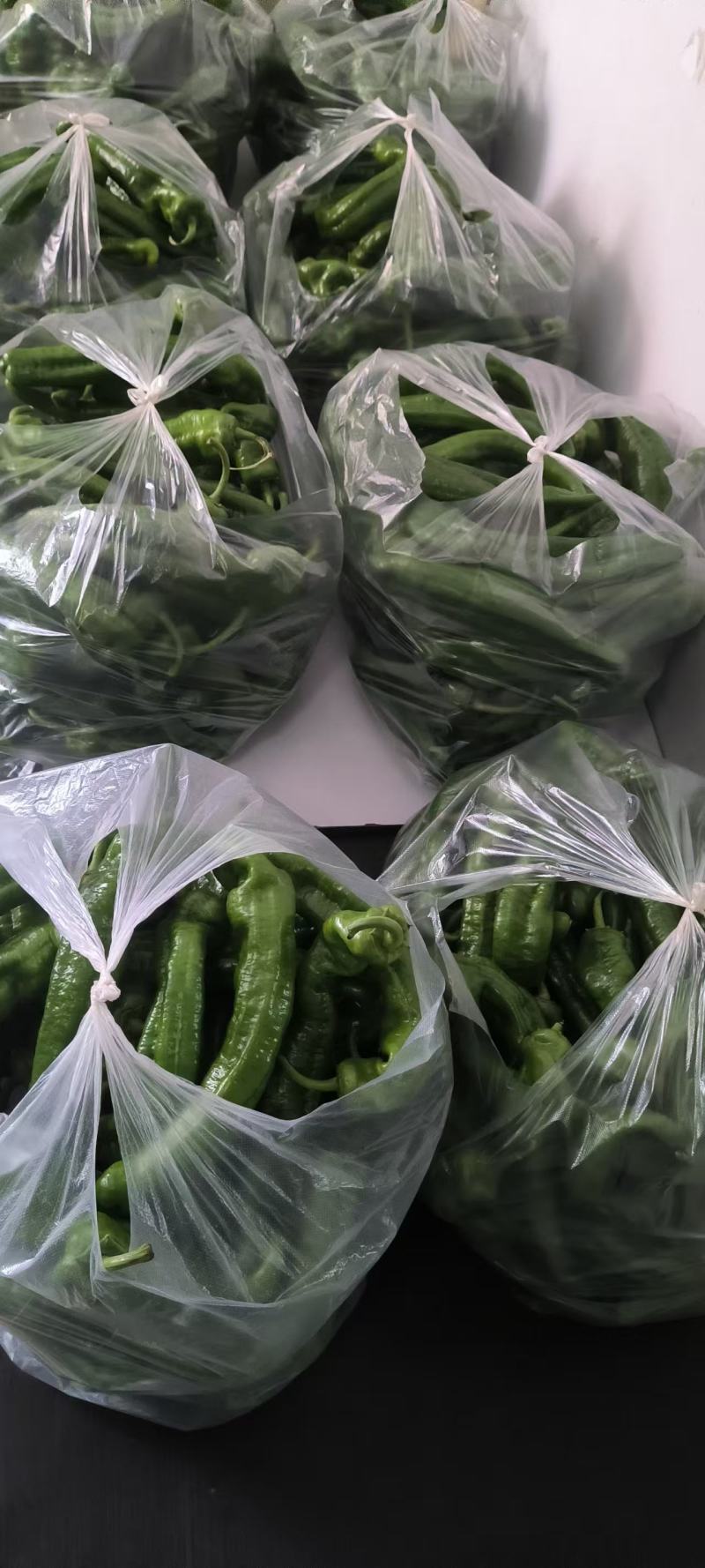 自家大棚种植辣椒新鲜科学管理质量可以大可放心