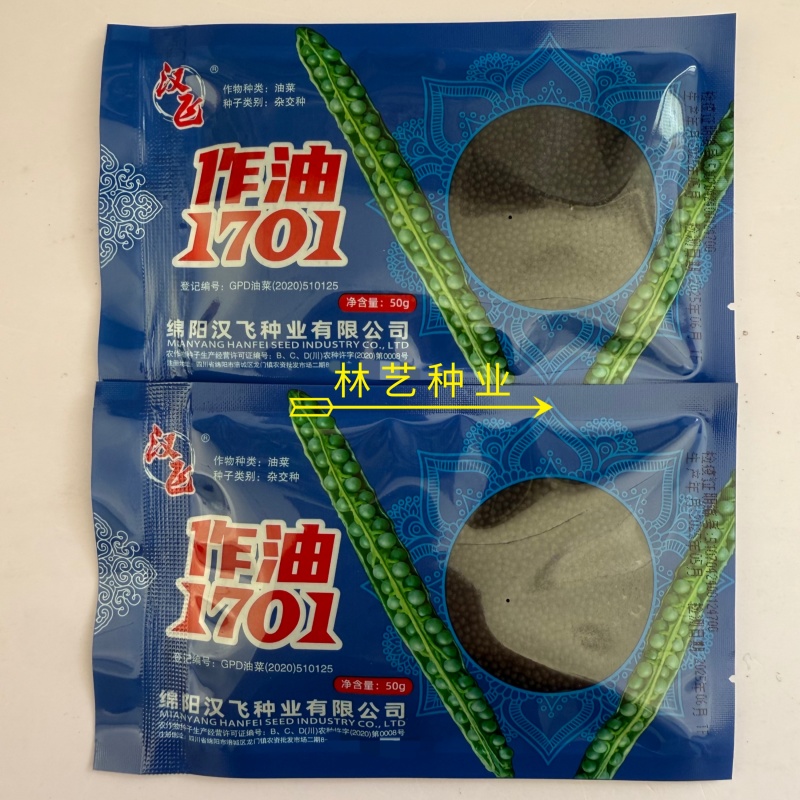 作油1701油菜种子高产高油矮杆抗寒抗病甘蓝型油菜籽