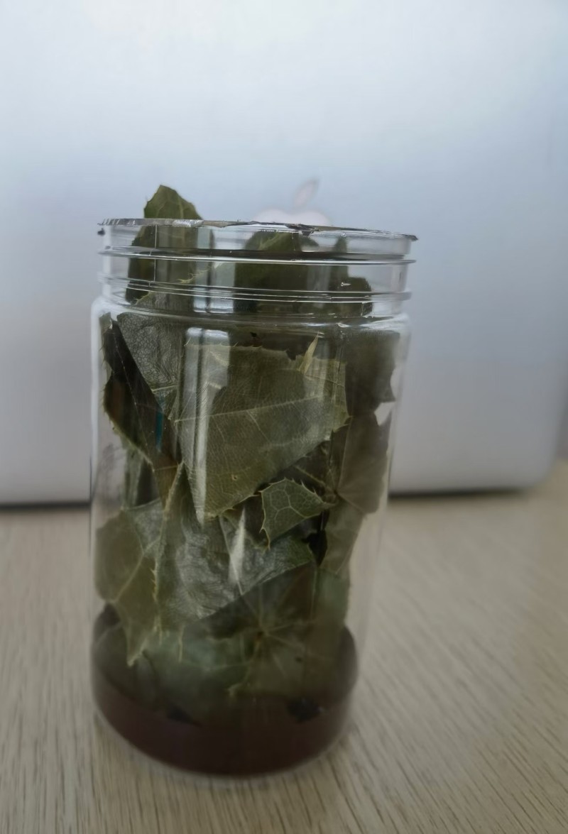 中药材箭叶淫羊藿厂家直发品质保证欢迎进店选购